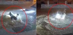 Mardin’de kuvvetli sağanak sonucu cadde ve sokaklar sular altında kaldı