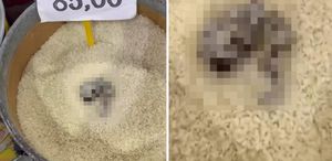 Açıkta satılan pirinçte kedi dışkısı görüldü, markete 52 bin TL ceza kesildi