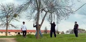 Eskişehir’de ’mangal için ağaç dalını kırmaya çalıştılar’ iddiası