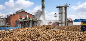 73 yıllık fabrikada üretim durdu