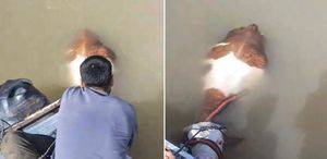 Nehirde ilginç anlar Bu sefer balık değil bakın ne tuttular