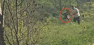 Avcılar’da köpeğe acımasızca işkence eden şahıs kıskıvrak yakalandı