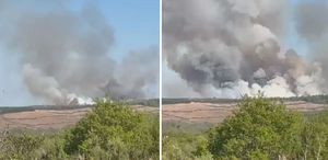 Beykoz’da ormanlık alanda yangın çıktı