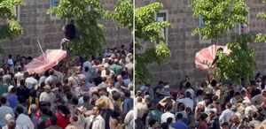 Mesir macunlarını yakalayabilmek için dondurma şemsiyesi açtı