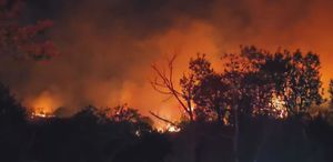 Beykoz’da alevler, soğutma çalışmaları sırasında yeniden yükseldi