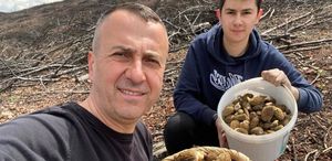 Baba ve oğlunun yüzünü güldüren mantar avı