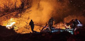 İstanbul Beykoz’daki orman yangını kontrol altına alındı