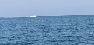 Mersin’de denizde 2 erkek cesedi bulundu