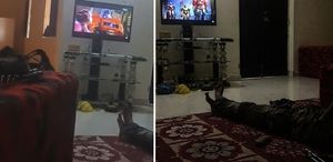 Mali’de ele geçirilen üste dikkat çeken anlar askerler Tranformers izledi