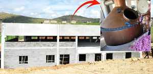 Ünlü sanatçı, arabalarını ve evlerini satıp 78 haneli köyüne yatırdı