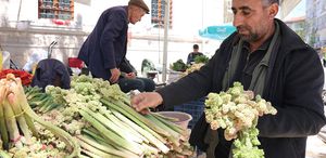 Yılda bir kez çıkıyor, binbir derde şifa oluyor