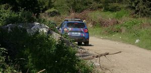 Adana’da ormanda erkek cesedi bulundu