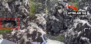 Diyarbakır’da bir garip olay Korkup taşa tuttukları şey bakın ne çıktı