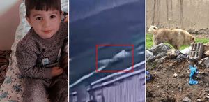 5 yaşındaki Hamza’nın can verdiği köpek dehşetinin görüntüleri ortaya çıktı