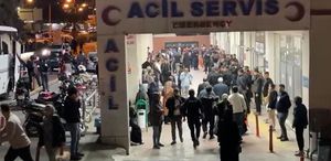Arazi anlaşmazlığı nedeniyle iki üvey kardeşini öldürdü