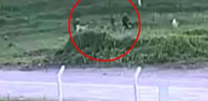 Baba ve oğlunun köpeklerine öfkelenip komşularını darbettiği anlar kamerada
