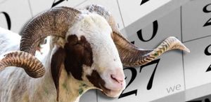 Kurban Bayramı tatili 9 gün oldu