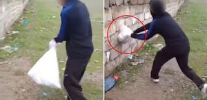 Van’da bir grup çocuk kediye böyle eziyet etti Çuvala koyup duvara vurdular