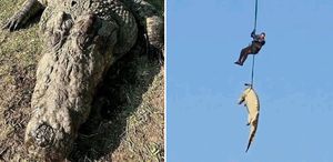 Kayıp kişileri o mu yedi Dev timsahın midesinden 6 çift terlik çıktı