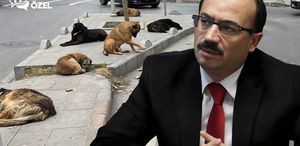 Köpeklerle ilgili sözleri gündem yaratan Osman Mesten’den ilk açıklama
