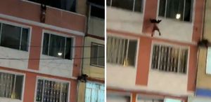 Babanın sigara keyfi az daha can alıyordu Evde yalnız bırakılan bebek 3. düştü