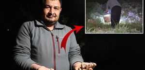 Gece yarısı ellerinde fenerle topluyorlar Kilosu 35 TL’den alıcı buluyor