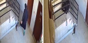 ’İlahi adalet’ hemen tecelli etti: Kediye yaptıklarından sonra yere kapaklandı