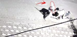 “Kız meselesi“ yüzünden genci öldüresiye dövüp 6 yerinden bıçakladılar
