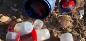 Şanlıurfa’da mezarlıkta plastik varilde 21 insan cenini bulundu