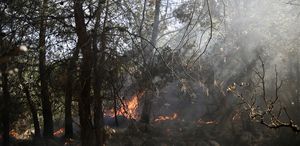 Fethiye’de çıkan orman yangını korkuttu