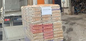 Yumurtada akıl almaz hile Ekipler hepsini toprağa gömdü