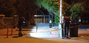 Darbedilen kadını kurtarmak isteyen 2 kardeş bıçaklandı