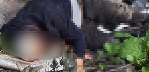 Dere kenarında bıçaklanarak öldürülmüş erkek cesedi bulundu