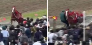 Japonya’da festivalde at kalabalığın arasına daldı: 6 yaralı