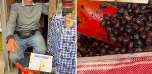 Zeytinin kilosunu 50 TL’ye sattı