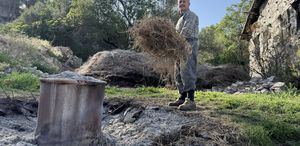 Toroslar’dan topluyor, Avrupa’dan bile sipariş yağıyor Gramı 18 TL’ye kadar çıkıyor