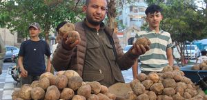 Görüntüsü patates gibi olsa da lezzeti çok başka: Kilosu 2 bin TL’den kapış kapış gidiyor