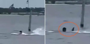 Donanma personeli öğle arasında denize girdi, köpekbalığının saldırısına uğradı
