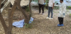Bahçede kanlar içinde bulundu Yanındaki detay kafaları karıştırdı