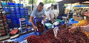 Kiraz fiyatı 70 liraya kadar düştü