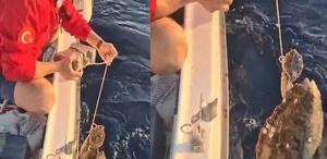 Kuşadası’nda Caretta Caretta Kaldırım Taşından Kurtarıldı