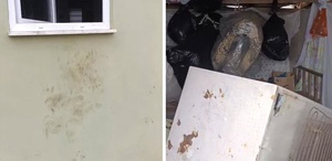 Bir günde 20 eve giren ayı yayla sakinlerini canından bezdirdi