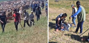 Muş’ta iki köy arasında silahlı ’arazi’ kavgası: 2 yaralı