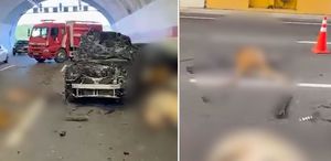 Tünelde ortalık savaş alanı Araçlar hurdaya döndü, 10 inek telef oldu