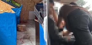 Eşini bıçaklayarak öldürdü, 1 kişiyi ağır yaralandı