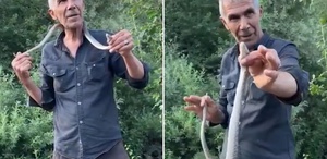 Resmen ölümle dans etti Zehirli engerek yılanını boynuna doladı