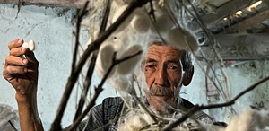 Evinin altında ipek böceği yetiştirerek 40 günde 216 bin TL kazandı