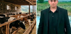Iğdır’da büyükbaş hayvanın darbesiyle ağır yaralanan kişi hayatını kaybetti