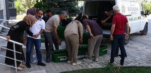 Bir hafta önce taşındığı evde ölü bulundu