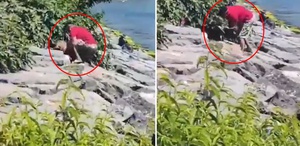Avcılar sahilinde köpeğe şiddet uygulayan şahıs gözaltına alındı